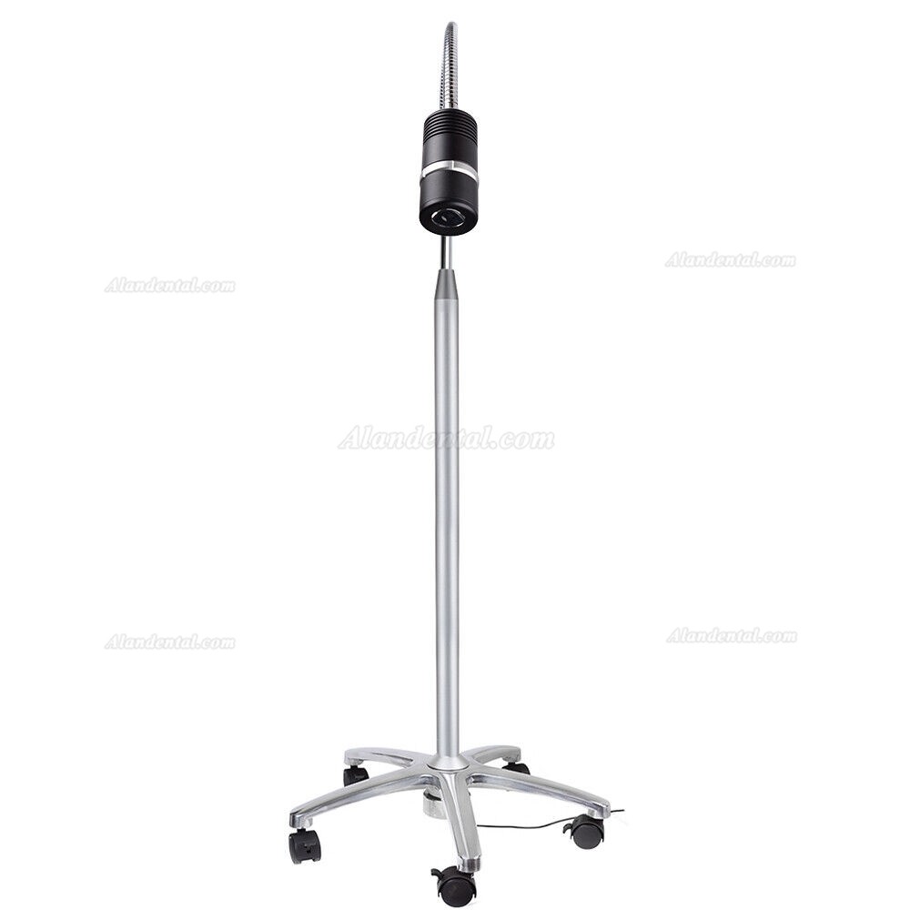 Micare JD1100L Dental Examination Light 7W LED Medical Examination Lamp Standing Type